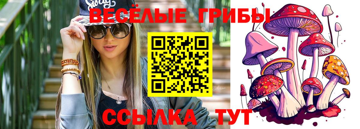 Галлюциногенные грибы Magic Shrooms  Псилоцибиновые грибы Cubensis  Вход с VPN  Черногорск 