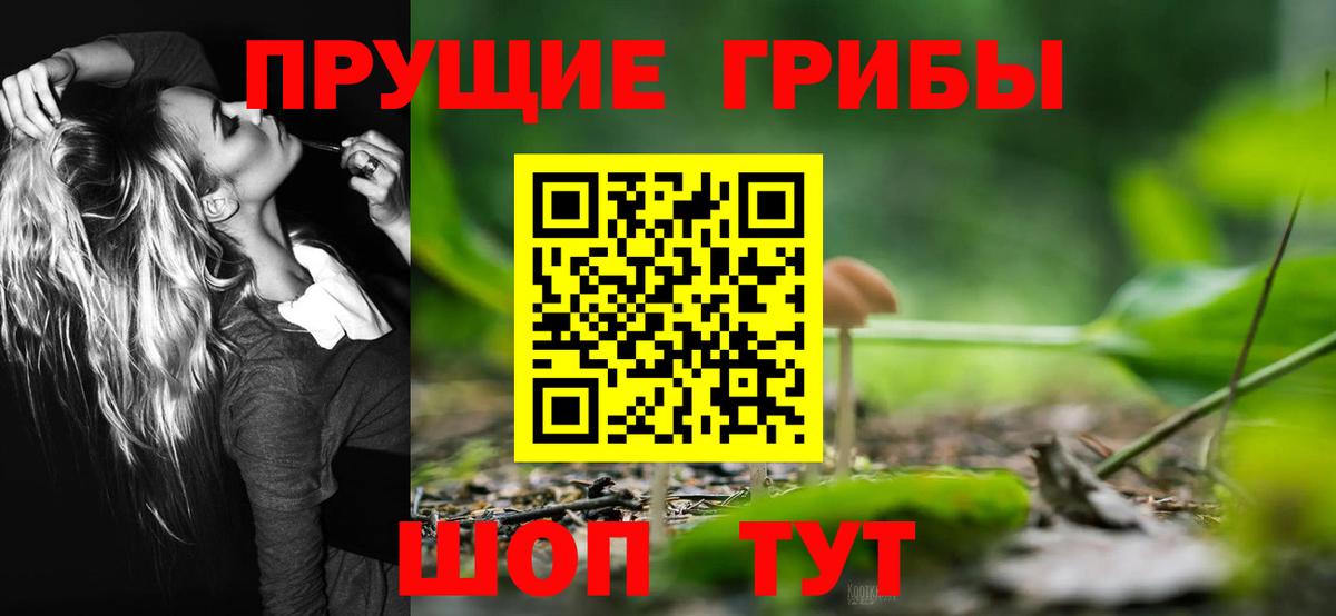 Псилоцибиновые грибы Cubensis Черногорск
